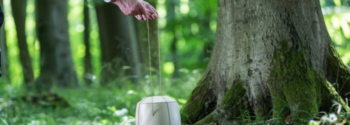 Urne wird neben Baum in Wald vergraben